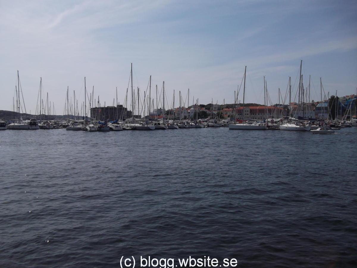 DSCF0423