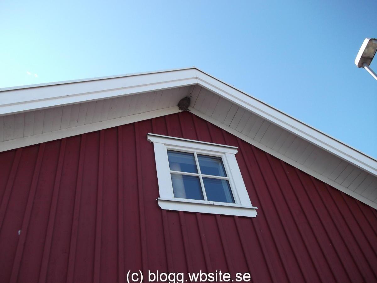 DSCF0474